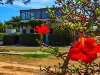 Casa Relax Acqua Marina Appartement Favignana Buitenkant foto